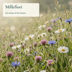 Miele millefiori Rosa D’Oro 500 g: fiori