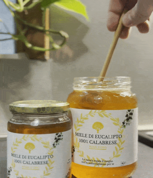 Miele di eucalipto artigianale Rosa D'Oro 1 kg